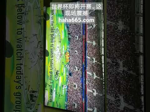 世乒赛男单,季军局点翻,日韩名将意,分分彩,彩票平台,高频彩票,在线投注,快速开奖