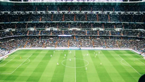 王欣瑜郑赛赛联袂晋级澳网女双32强