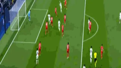 “一叶千味揭秘：泡叶技艺探秘之旅”